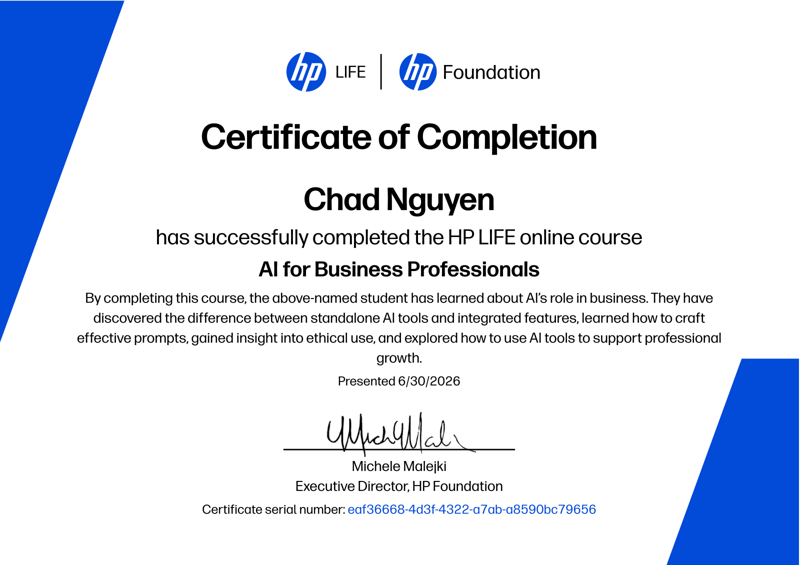 AI for Business Professionals Certificate